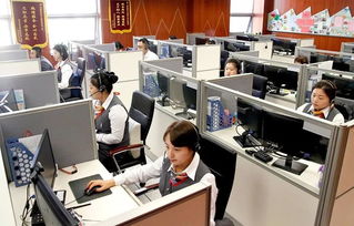政企民共商，服務再升級——市區政務服務局召開企業咨詢服務專題調研會